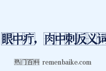 眼中疔，肉中刺反义词是什么意思的图片